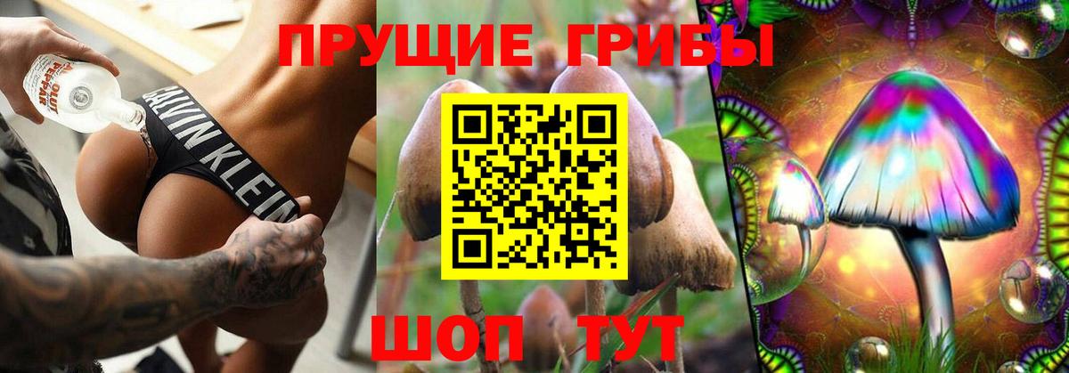 Елабуга  Галлюциногенные грибы Psilocybe  Вход с VPN 
